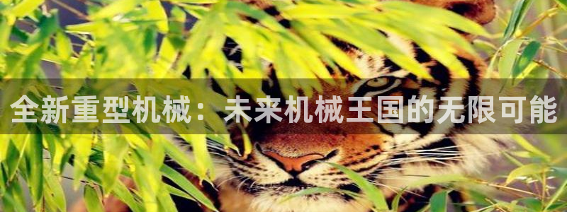 万事娱乐招商信息