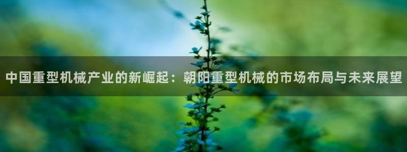 娱乐万事通作品