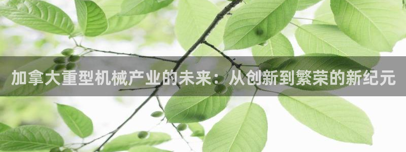 万事达娱乐见55312