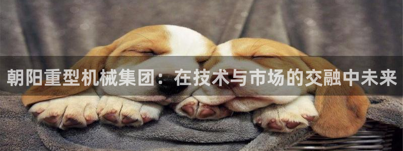万事娱乐代理加盟条件