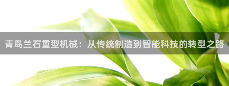 万事达娱乐连55312