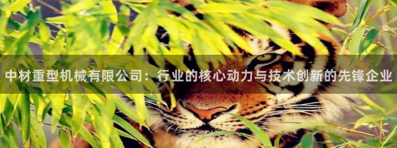 万事达娱乐娱乐平台