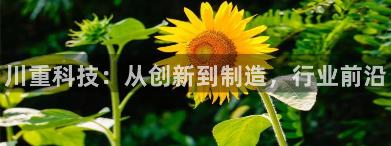 万事达娱乐t骧441200