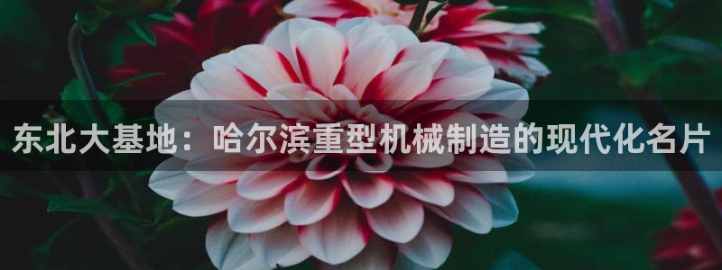 万事达娱乐登陆