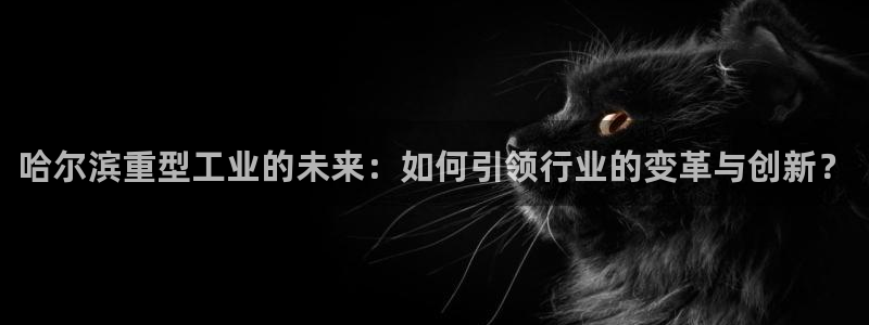 娱乐万事屋账号