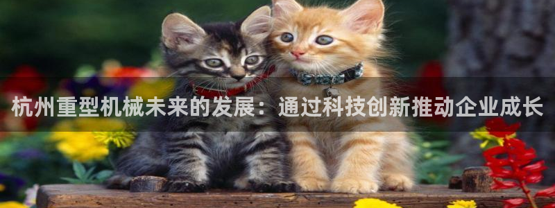 万事通娱乐官网