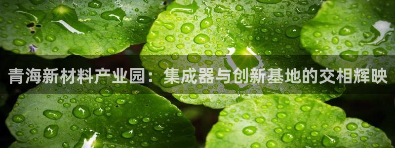 万事娱乐发展历程