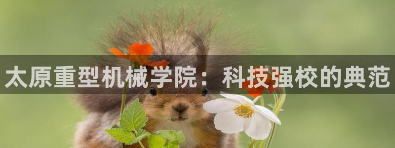 万事娱乐公司简介图片