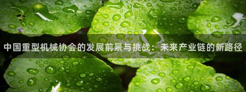 万事顺文化娱乐