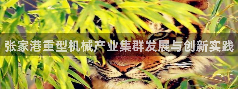 万事达娱乐f 判官