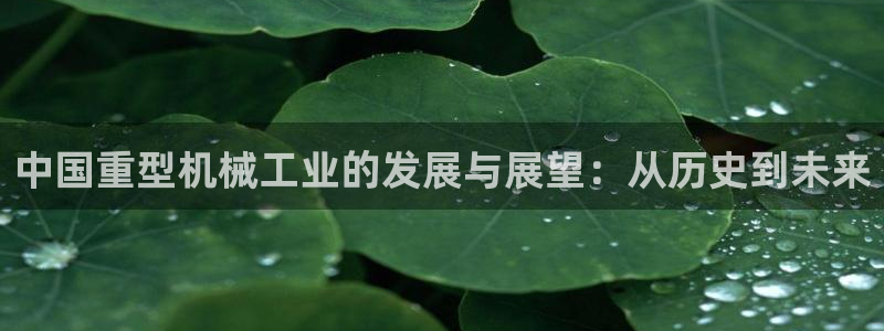 人间万事屋娱乐锤