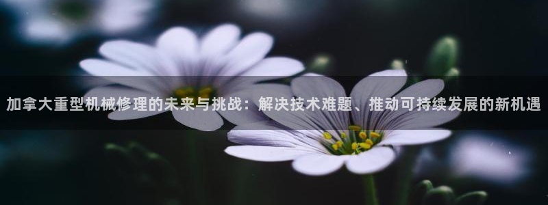 万事平台娱乐