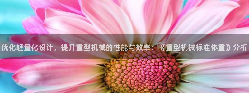 万事娱乐地址在哪里