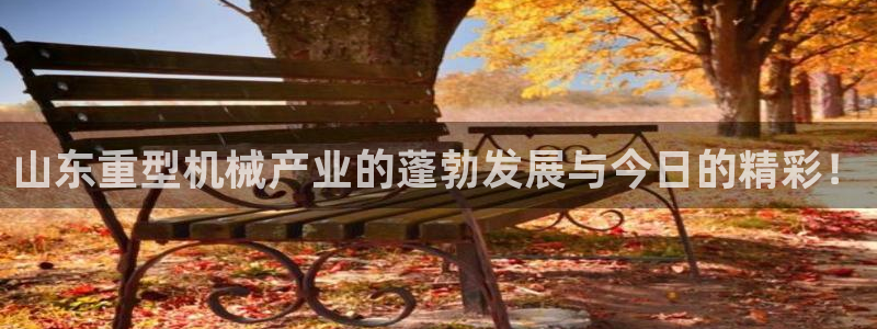 万事达娱乐高善良