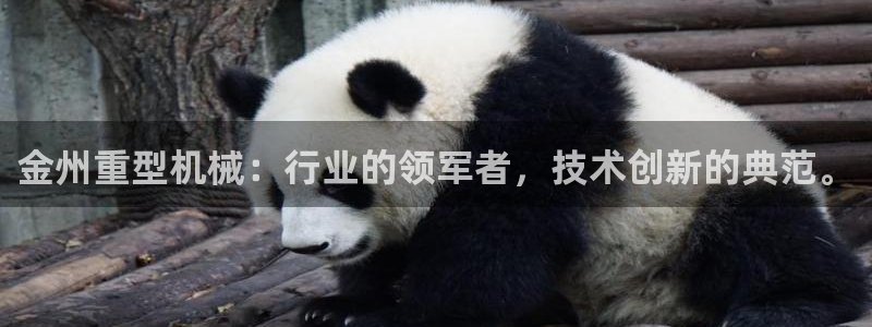 万事娱乐主管年薪多少