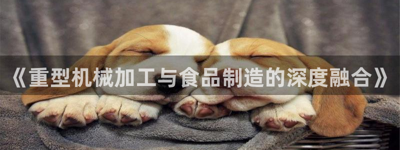 万事娱乐 找86555