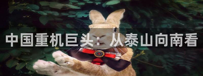万事娱乐测速软件下载