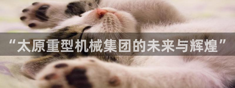 万事娱乐优七九九47