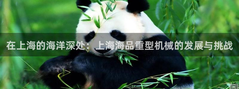 万事达娱乐h OO判官