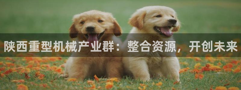 万事达娱乐球33300