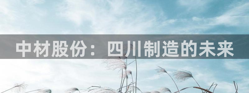 万事娱乐公司简介图片