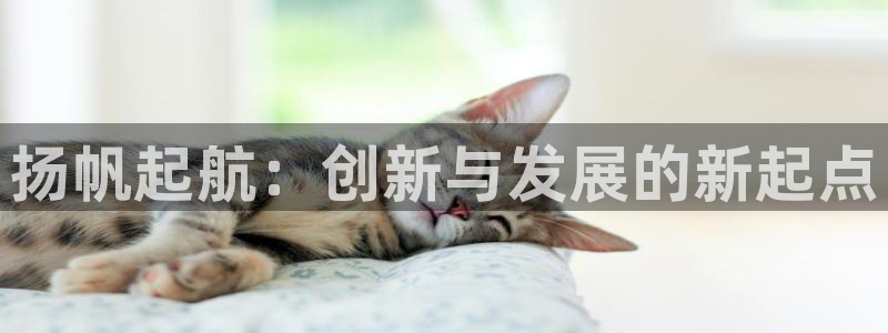 万事达娱乐高善良