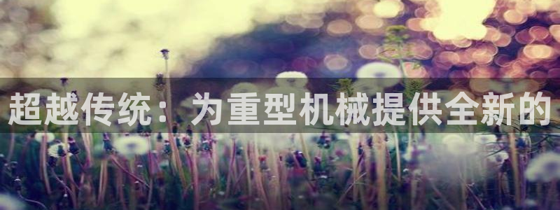 万事娱乐方案编号