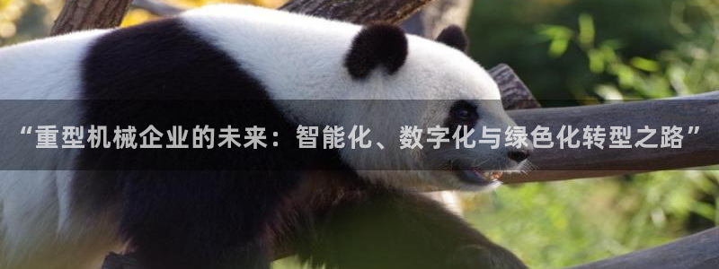 万事达娱乐指尖得