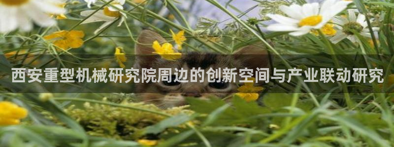 万事娱乐官网下载手机版