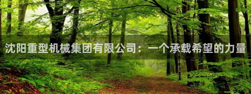 万事达娱乐f 判官