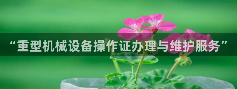 万事达娱乐唐善良