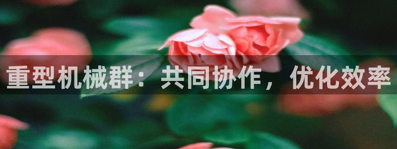 万事娱乐怎么成为会员