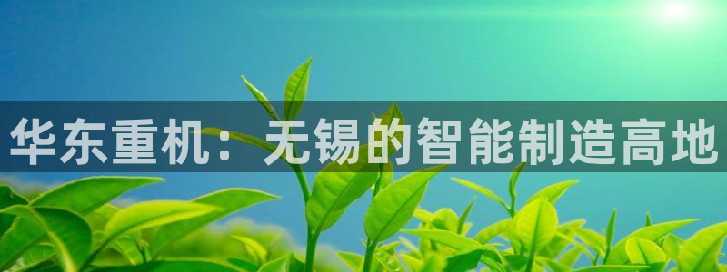 万事达娱乐i 判官