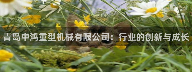 万事娱乐主管年薪