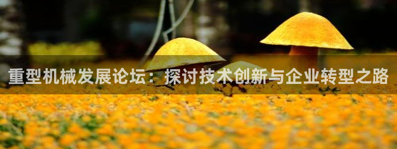 万事娱乐有漏洞么