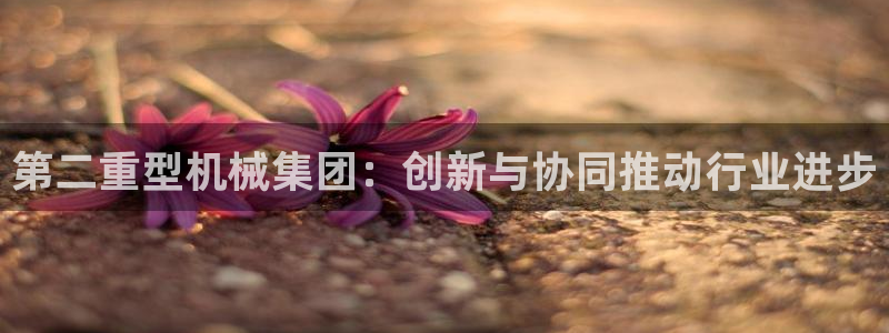 万事娱乐最高总代理