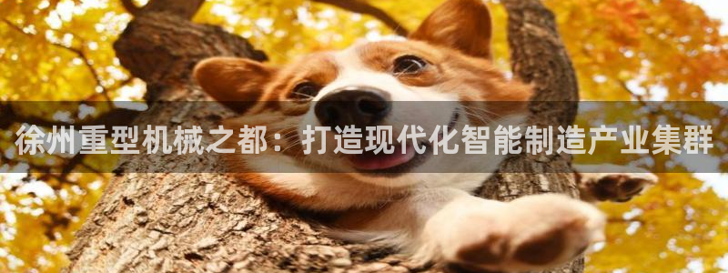 万事娱乐官网网址