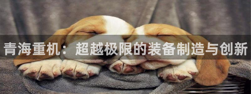 娱乐万事通焦作