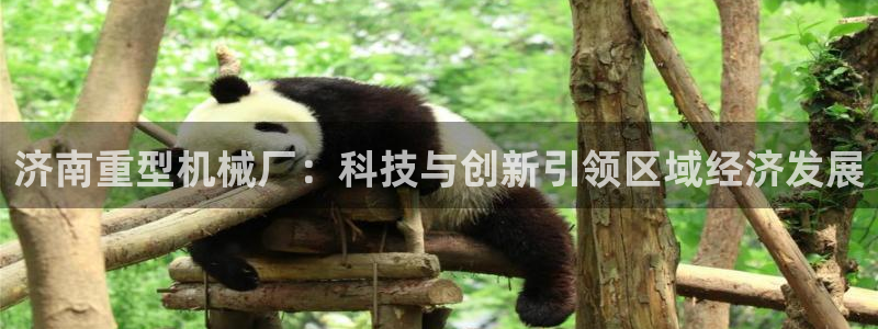 万事通娱乐网最新消息