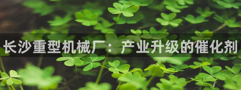 万事达娱乐指尖下腊