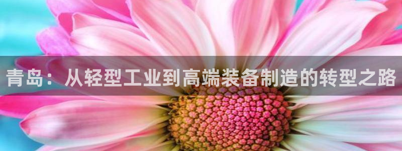 万事娱乐有漏洞么