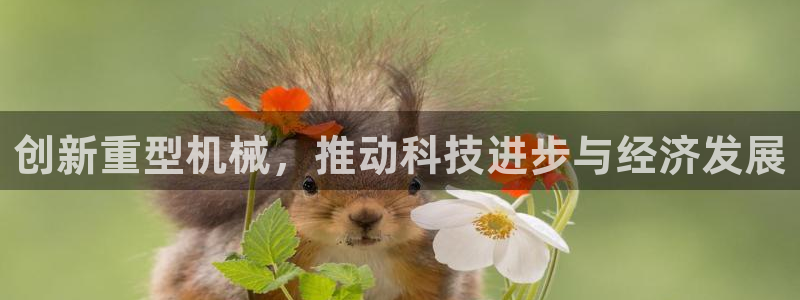 万事通娱乐网最新消息