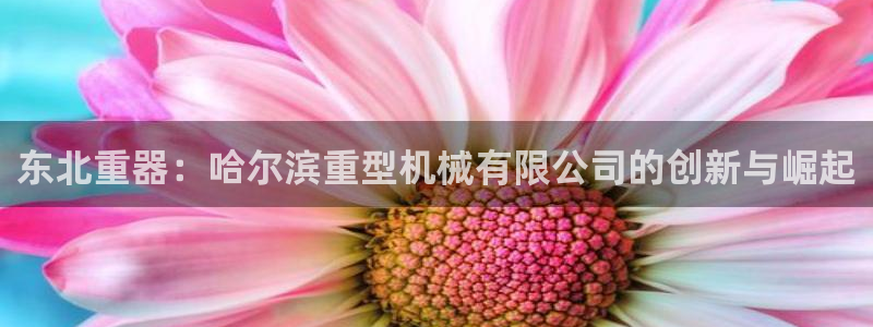 万事娱乐主管年薪多少