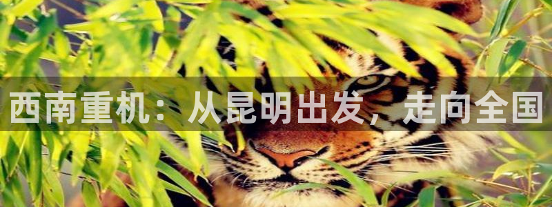 万事达娱乐d实力56262