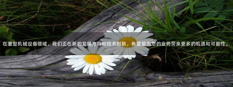 万事达娱乐代理