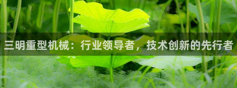 万事达娱乐P妙441200