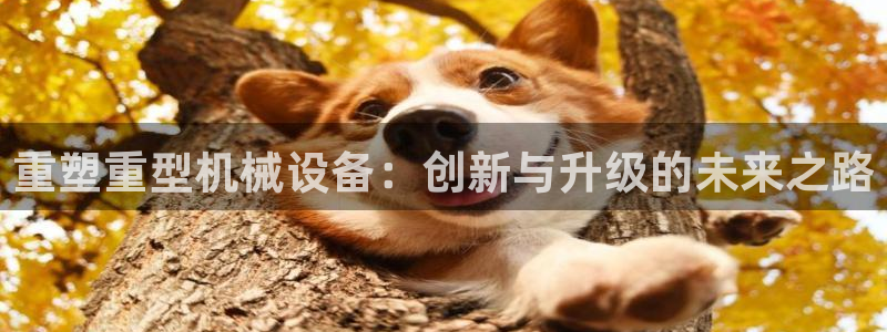 万事娱乐平台手机下载